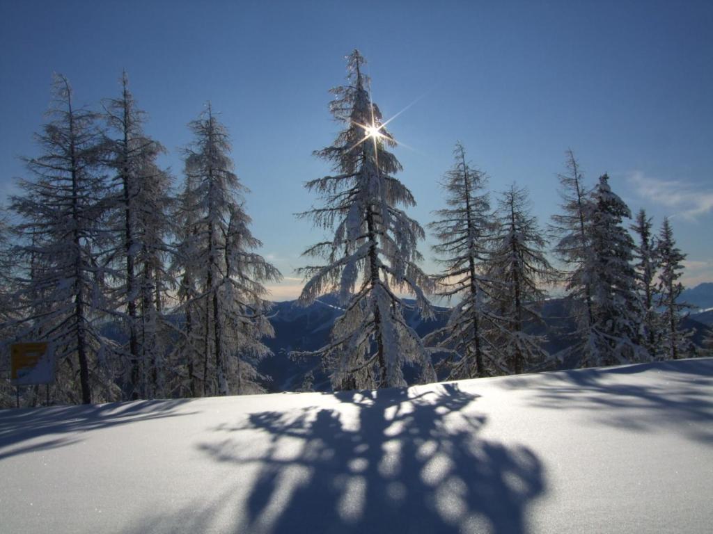 Willa Gutzingerhof Bad Kleinkirchheim Zewnętrze zdjęcie